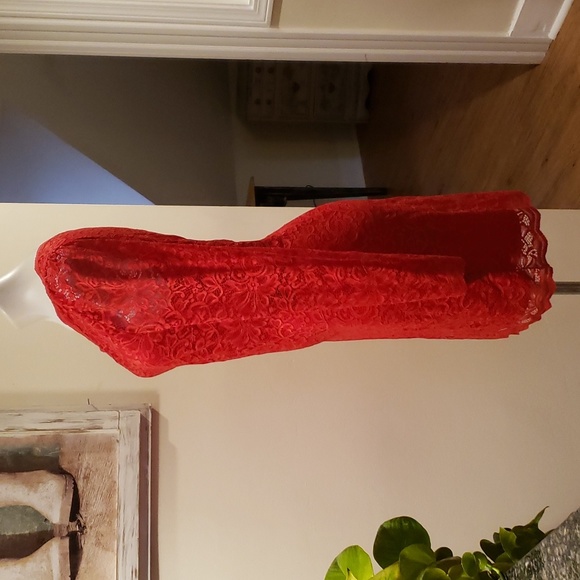 Express Dress - Picture 6 of 12